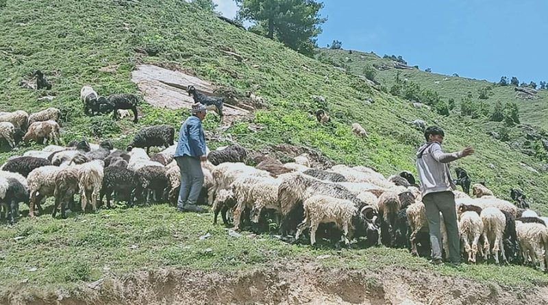 कर्णालीको कहर : बैगुनी सरकार